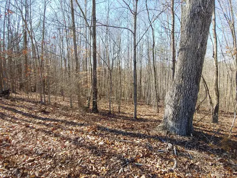0 Horseshoe Bend Rd, Goodview, VA 24095
