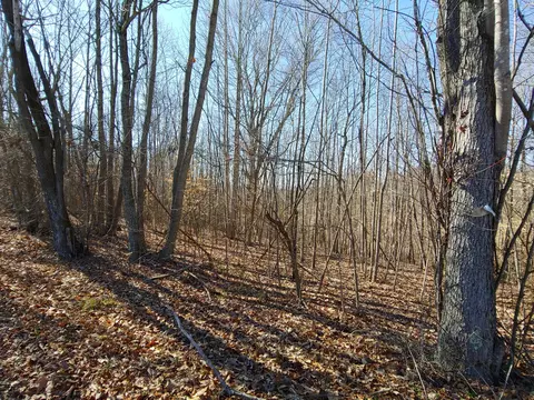 lot10 Horseshoe Bend Rd, Goodview, VA 24095