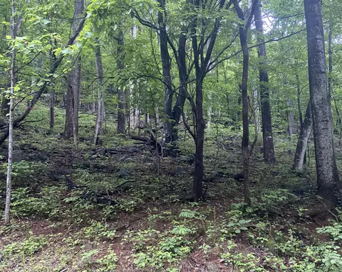 0 Sawmill Rd, Bedford, VA 24523