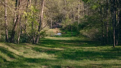 8270 Twin Falls Rd NE, Copper Hill, VA 24079