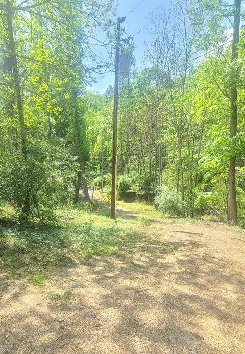 3219 Timberview Rd, Roanoke, VA 24019 photo 3