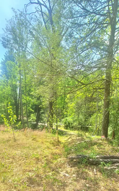 3219 Timberview Rd, Roanoke, VA 24019 photo 8