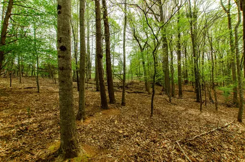 0 High Point Rd, Moneta, VA 24121 photo 12