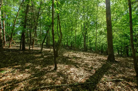 0 High Point Rd, Moneta, VA 24121 photo 6