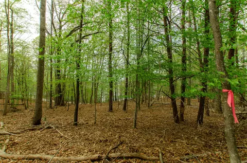 0 High Point Rd, Moneta, VA 24121 photo 13