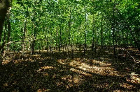 0 High Point Rd, Moneta, VA 24121 photo 7