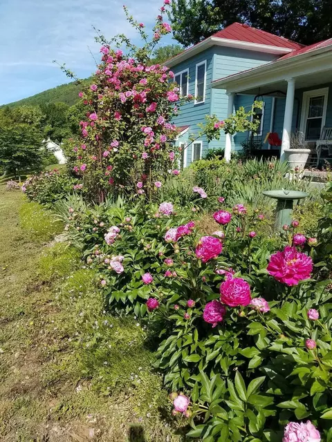 Exterior - 322 2nd St, Buchanan, VA 24066 photo 5 of 5