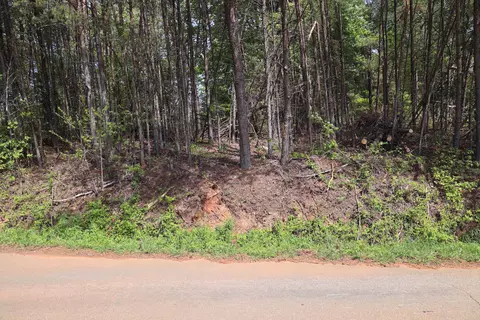 0 Sallys Ridge Rd, Henry, VA 24102