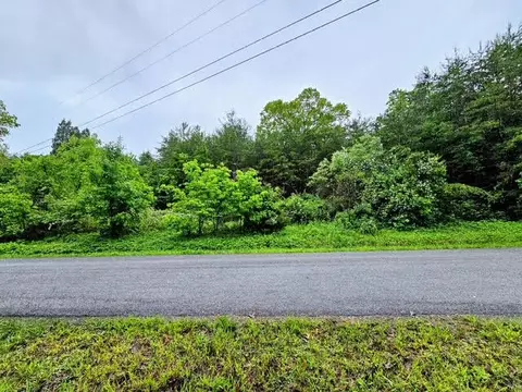 0 Racking Horse Ln, New Castle, VA 24127