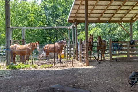 560 Tomahawk Mill Rd, Chatham, VA 24531 photo 41