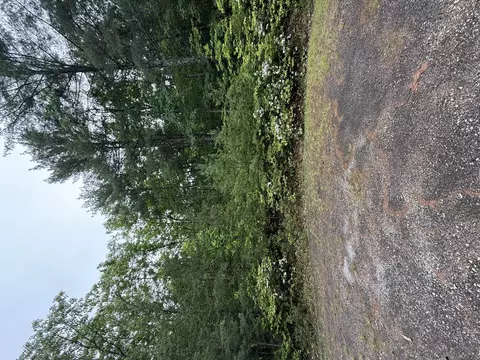 lot5 Galax Rd, New Castle, VA 24127