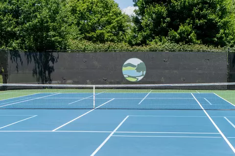 View/Area - 31 Flagstick Ct, Penhook, VA 24137 photo 20 of 21