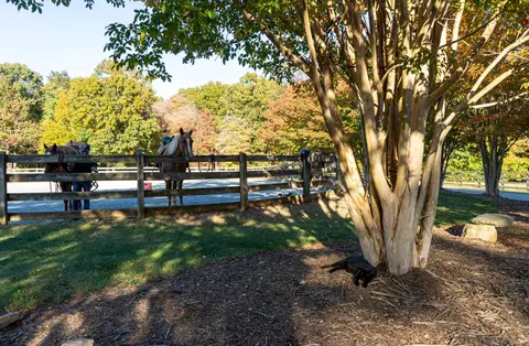 Other - 31 Flagstick Ct, Penhook, VA 24137 photo 24 of 26