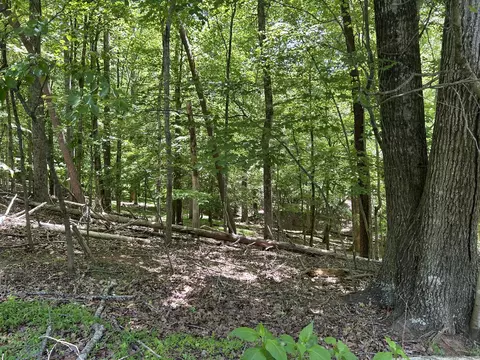 lot40 Old Mill Dr, Hardy, VA 24101