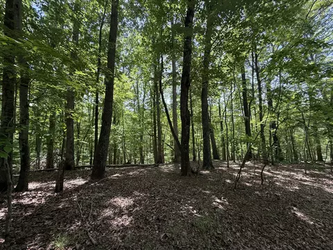 lot53 Hickory Woods Ln, Hardy, VA 24101