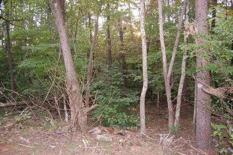 Undisclosed, Moneta, VA 24121