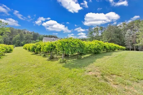 Exterior - 60 Tara Dr, Ridgeway, VA 24148 photo 5 of 19