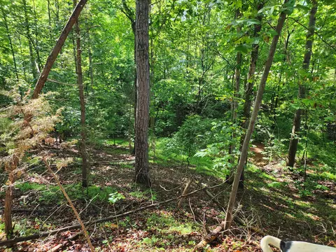 lot31 Forest Shores Rd, Wirtz, VA 24184