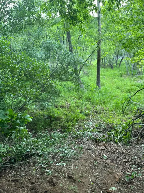 lot77 N Church Dr, Hardy, VA 24101
