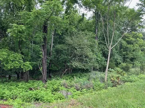 lot3 Hales Ford Rd, Moneta, VA 24121