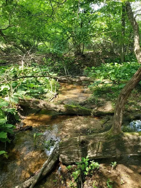 0 Cobble Trl, Bent Mountain, VA 24059 photo 6