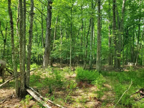 0 Cobble Trl, Bent Mountain, VA 24059 photo 2