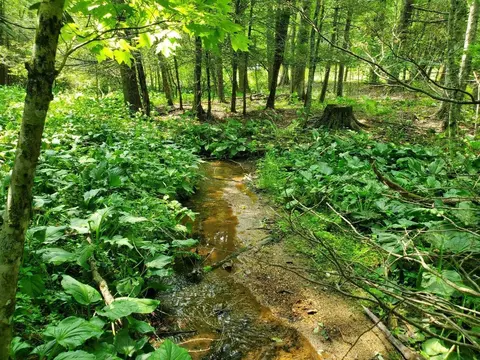 0 Cobble Trl, Bent Mountain, VA 24059 photo 5