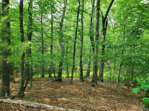 0 Cobble Trl, Bent Mountain, VA 24059 photo 4