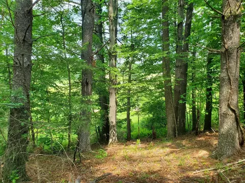 0 Cobble Trl, Bent Mountain, VA 24059 photo 3