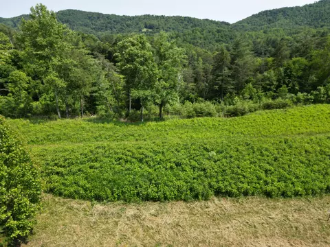 lot31 35 River Rock Rd, Vinton, VA 24179
