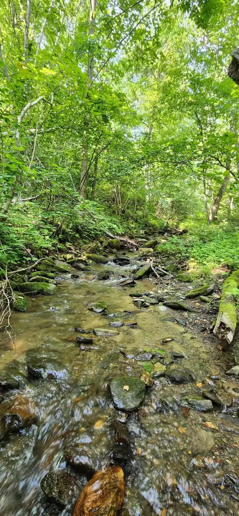 00 Runnett Bag Rd, Ferrum, VA 24088 photo 6