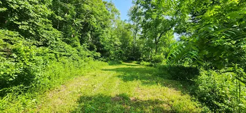 00 Runnett Bag Rd, Ferrum, VA 24088 photo 4