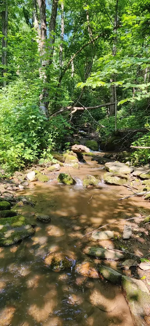 00 Runnett Bag Rd, Ferrum, VA 24088 photo 9