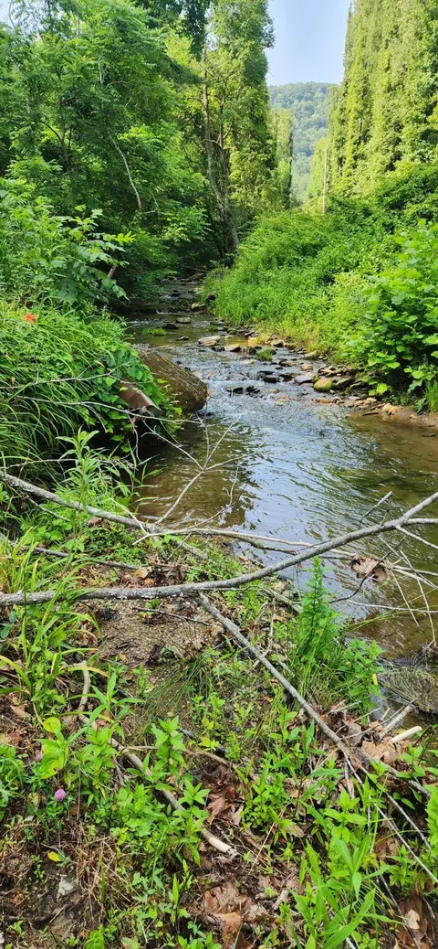 00 Runnett Bag Rd, Ferrum, VA 24088