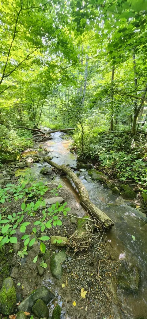 00 Runnett Bag Rd, Ferrum, VA 24088 photo 5