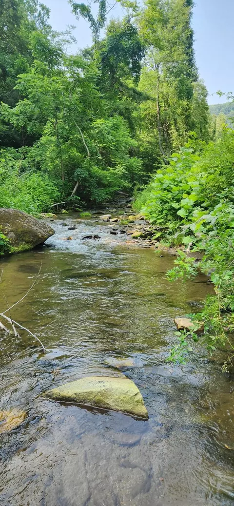 00 Runnett Bag Rd, Ferrum, VA 24088 photo 2