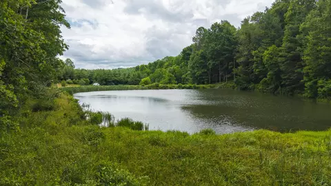 0 Ferney Creek Rd NW, Willis, VA 24380