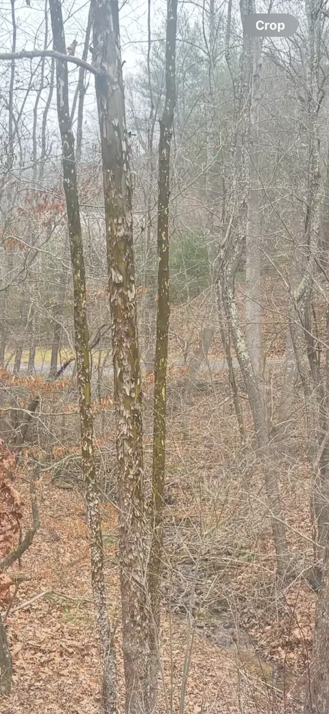0 Turners Creek Rd, Ferrum, VA 24088