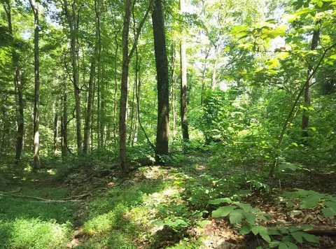 2358 Wood Town Rd, Eagle Rock, VA 24085