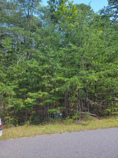 2985 New Ridge Rd, Elliston, VA 24087
