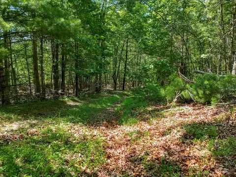 3706 Sunflower Rd, Pilot, VA 24138 photo 47