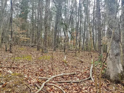 lot116 Niver Dr, Union Hall, VA 24176