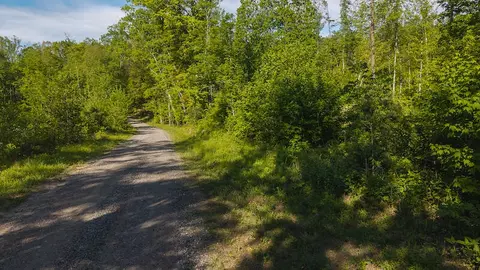 lot1 Shortcut Dr, Woolwine, VA 24185