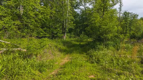 lot1 Shortcut Dr, Woolwine, VA 24185 photo 14