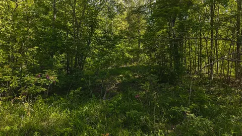 lot1 Shortcut Dr, Woolwine, VA 24185 photo 8