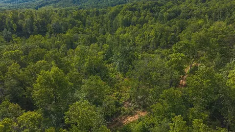 lot1 Shortcut Dr, Woolwine, VA 24185 photo 18