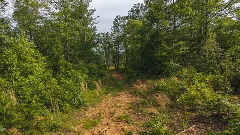 lot1 Shortcut Dr, Woolwine, VA 24185 photo 19