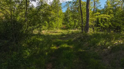 lot1 Shortcut Dr, Woolwine, VA 24185 photo 5