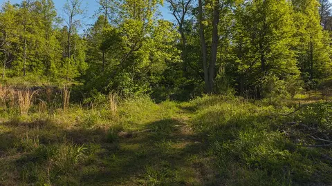 lot1 Shortcut Dr, Woolwine, VA 24185 photo 4