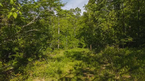 lot1 Shortcut Dr, Woolwine, VA 24185 photo 6